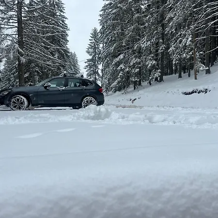 Ruza Vetrova Zlatar - A2