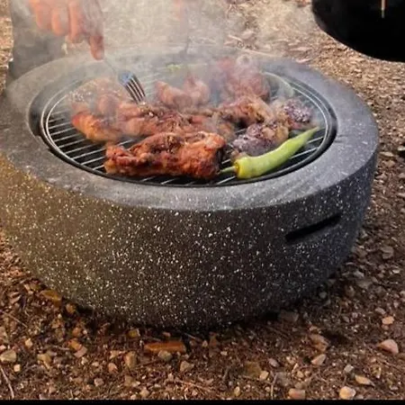 Ruza Vetrova Zlatar - A2 * Nova Varoš