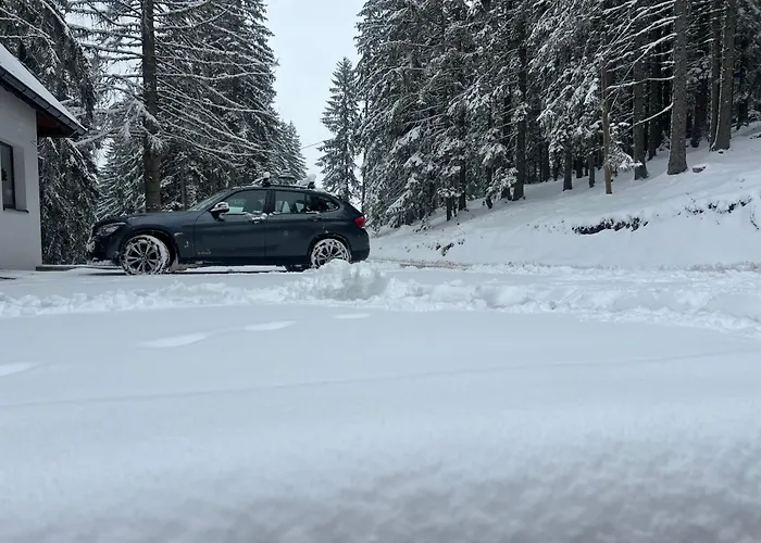 Ruza Vetrova Zlatar - A2